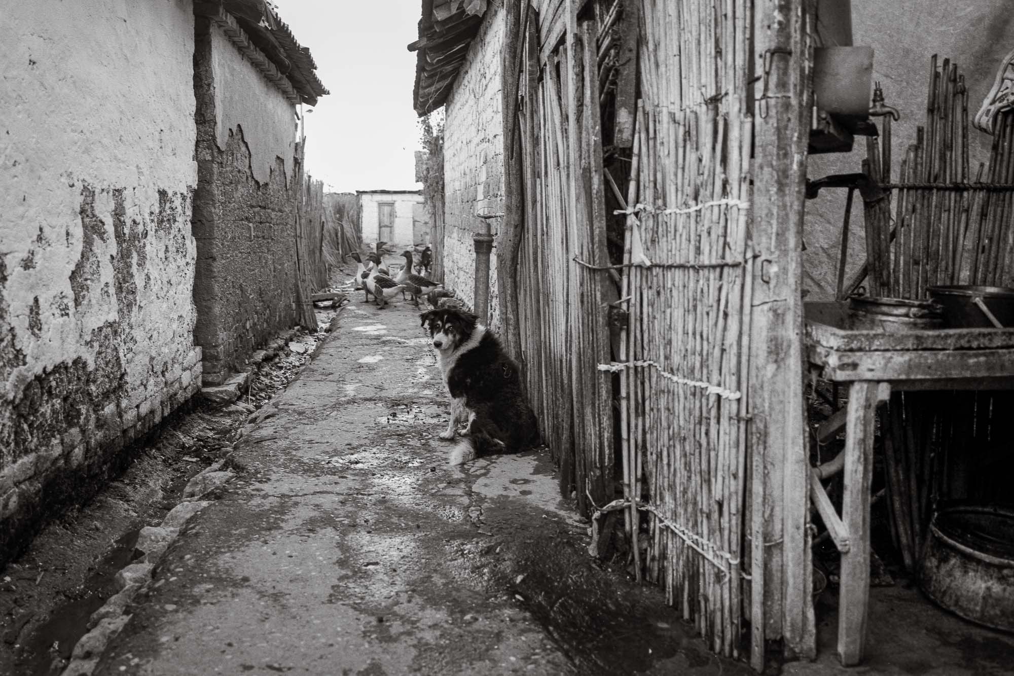 Bart-Deseyn-photographer-albania-1992-21 Street in a former labour camp photographed in 1992 in Albania, Berat Region