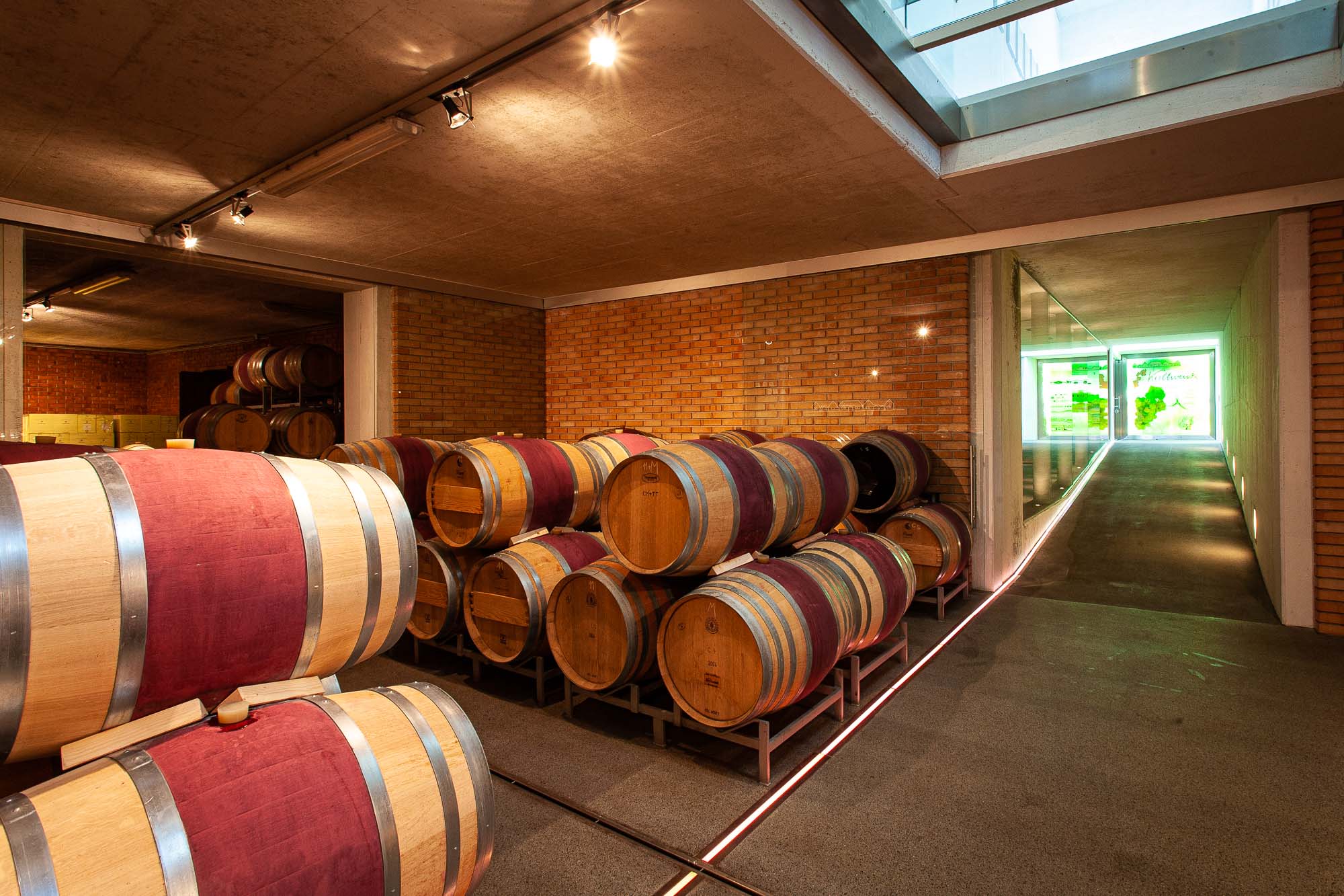 Bart-Deseyn-photographer-design-wineries-10 Austrian design wineries, barrel hall at Kollwenz Wine