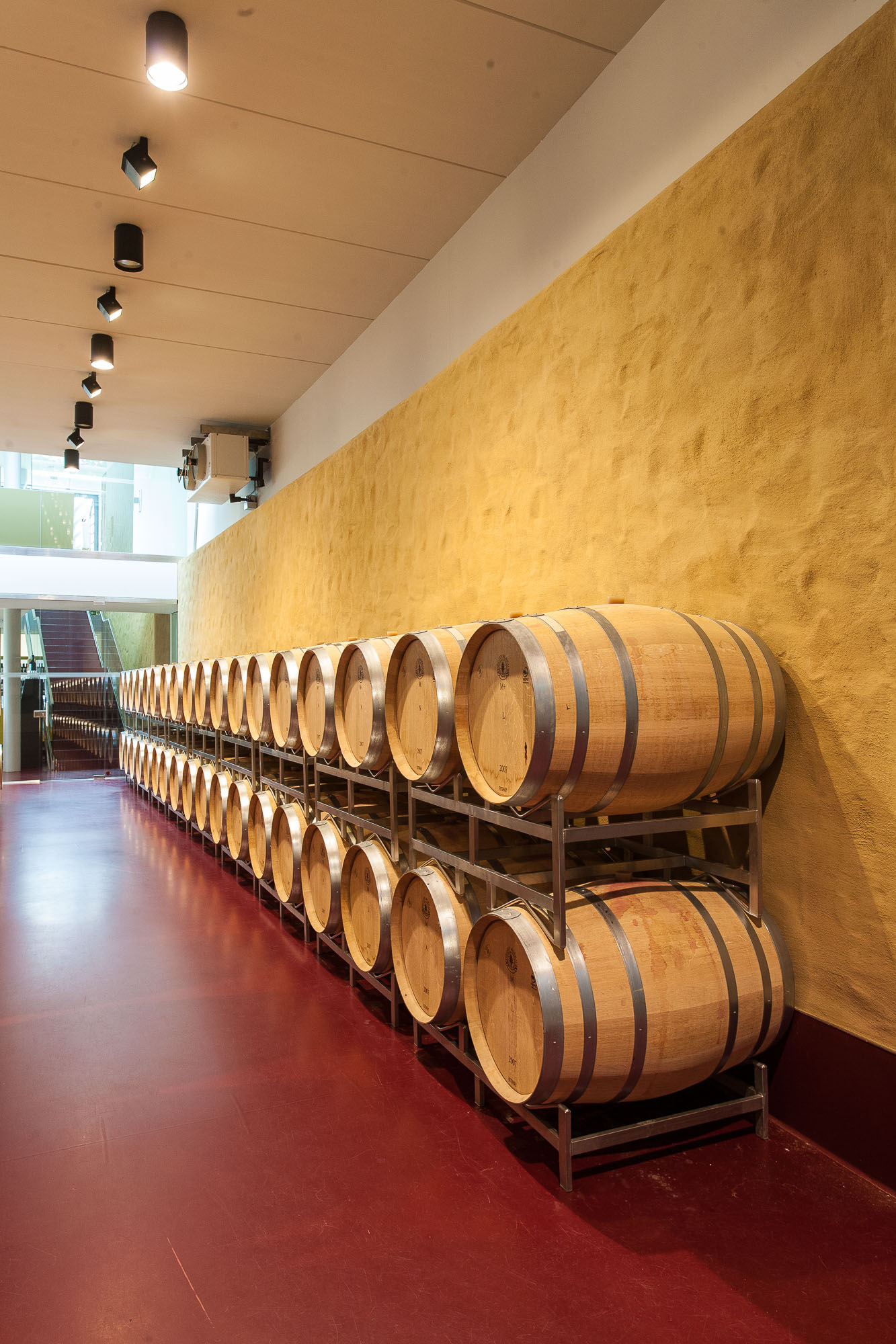 Bart-Deseyn-photographer-design-wineries-7 Austrian design wineries, barrel hall at Esterhazy Wine