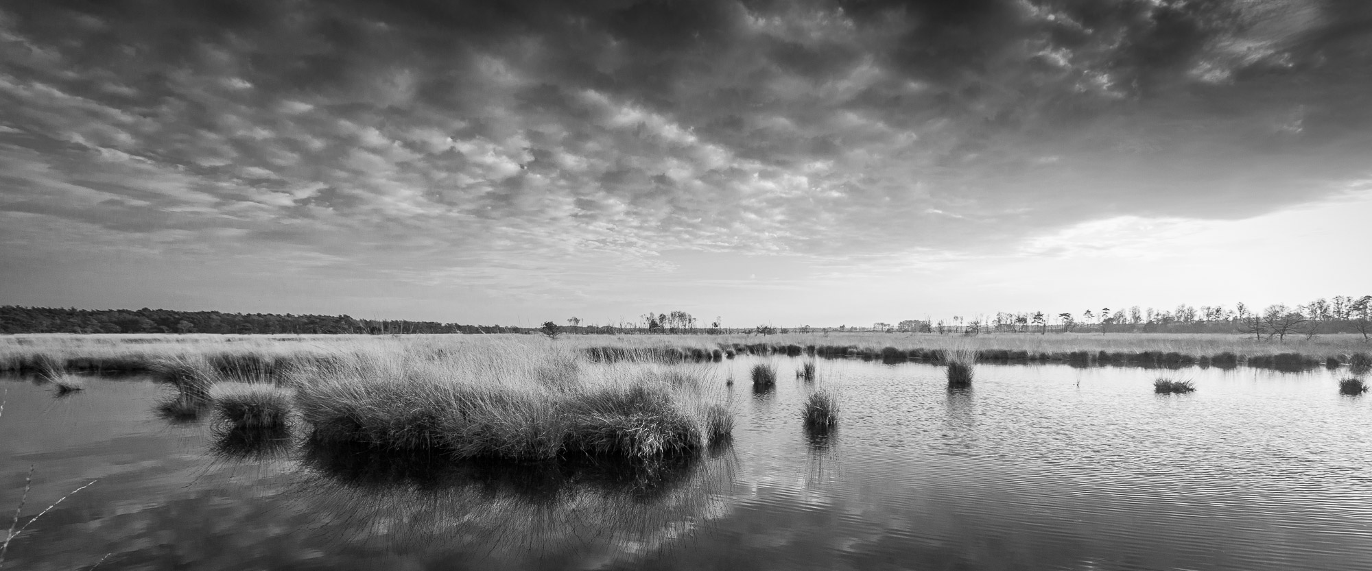 Bart-Deseyn-photographer-made-in-belgium-27 Made in Belgium, Stappersven, Kalmthout