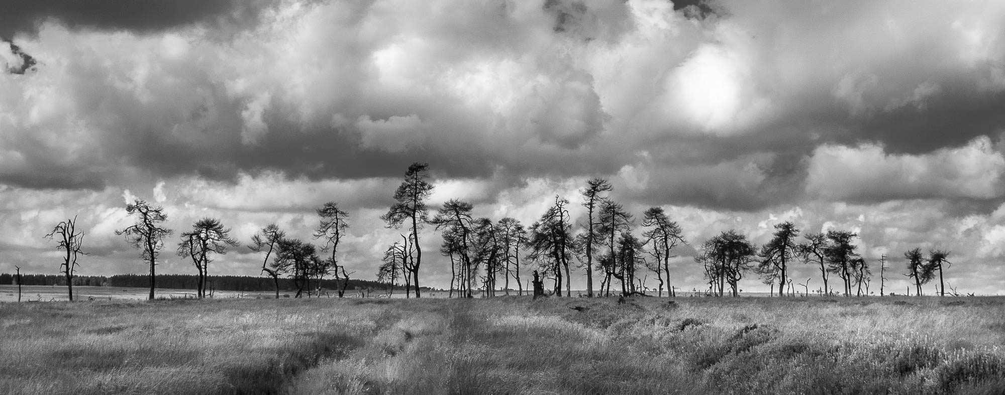Bart-Deseyn-photographer-made-in-belgium-33 Made in Belgium, High-Fens