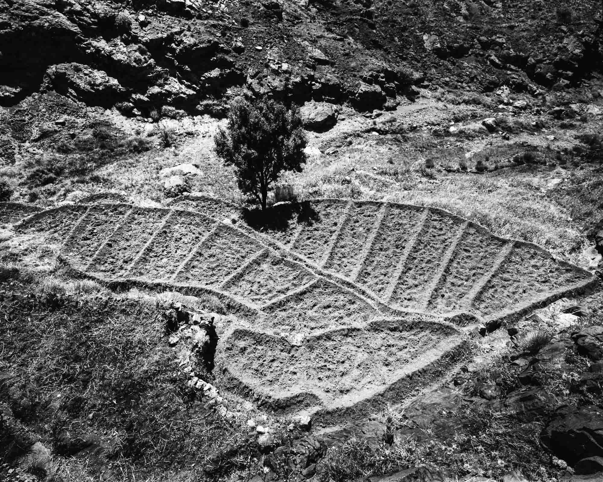Tagharghist, a berber village in Morocco, a field at Agouni n’ait Anou, spring 2009