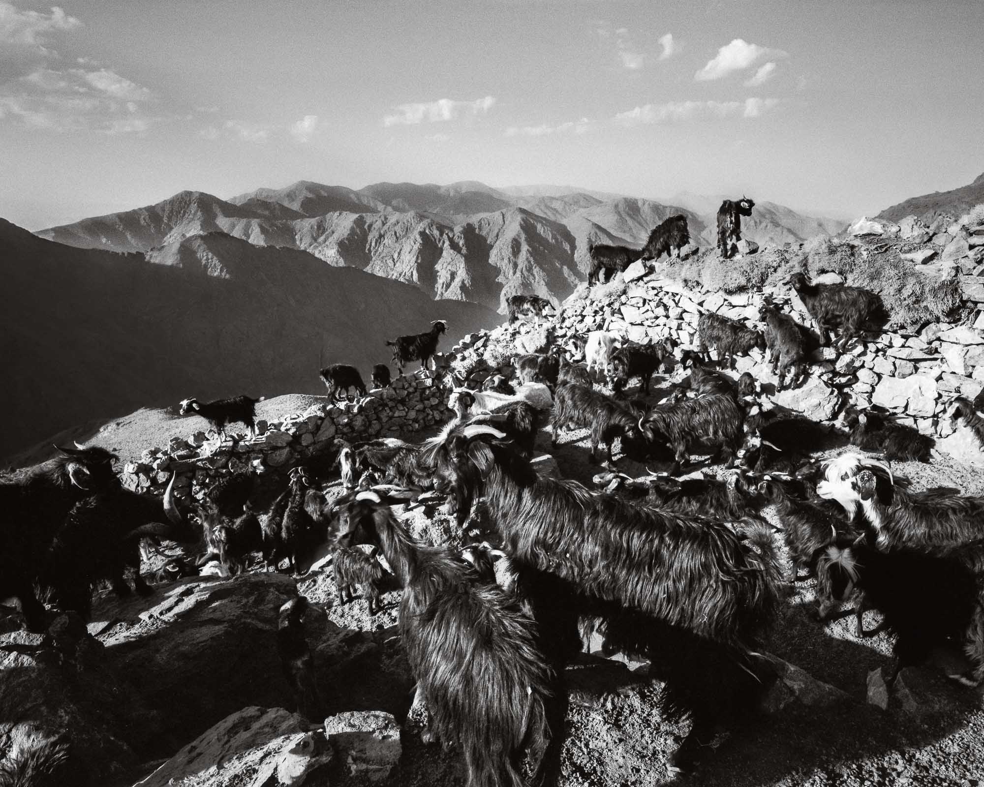 Tagharghist, a berber village in Morocco, the Ouanoukrim Massif, summer 2009