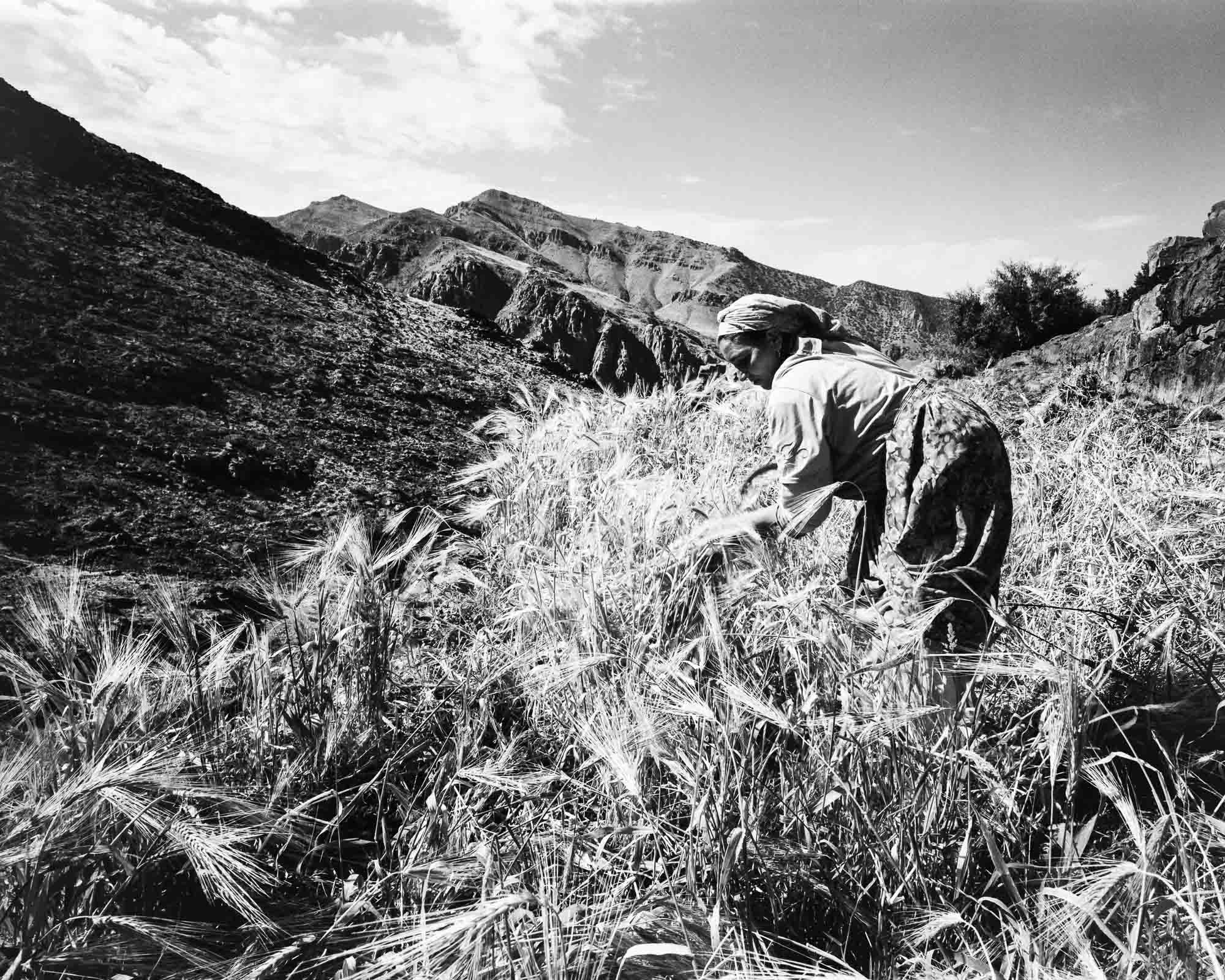 Tagharghist, A portrait of life in Morocco's High Atlas Mountains, Fatime Ait Bayborik, spring 2009