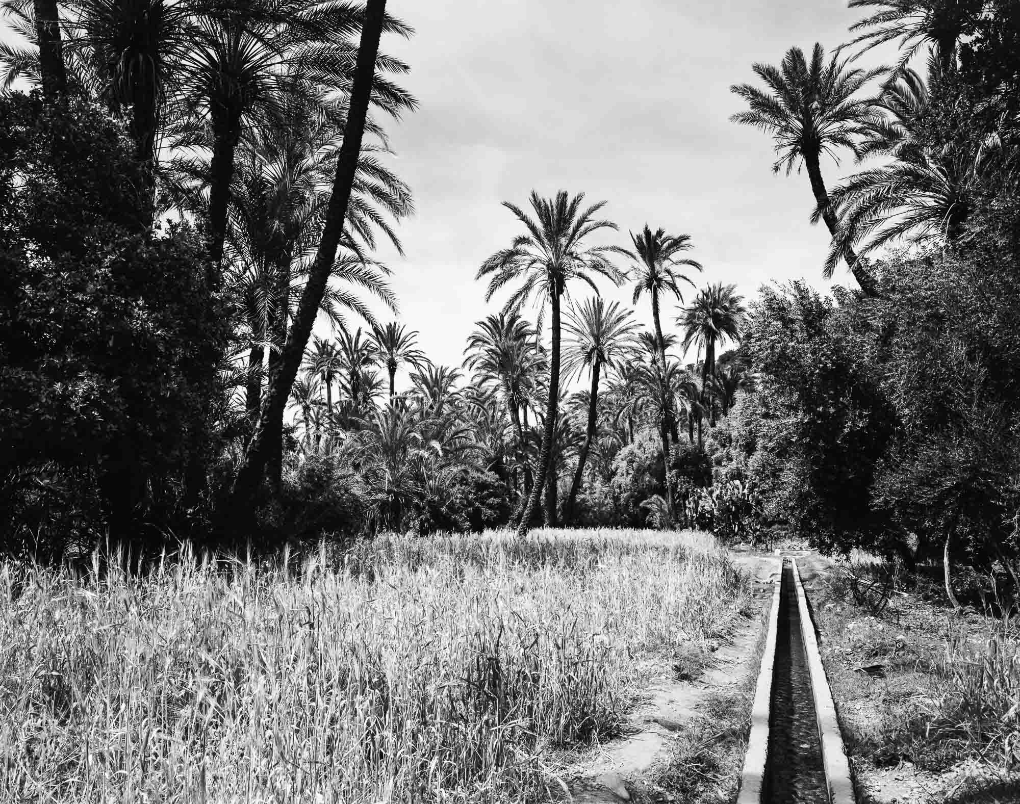 a targa, or irrigation canal, spring 2003