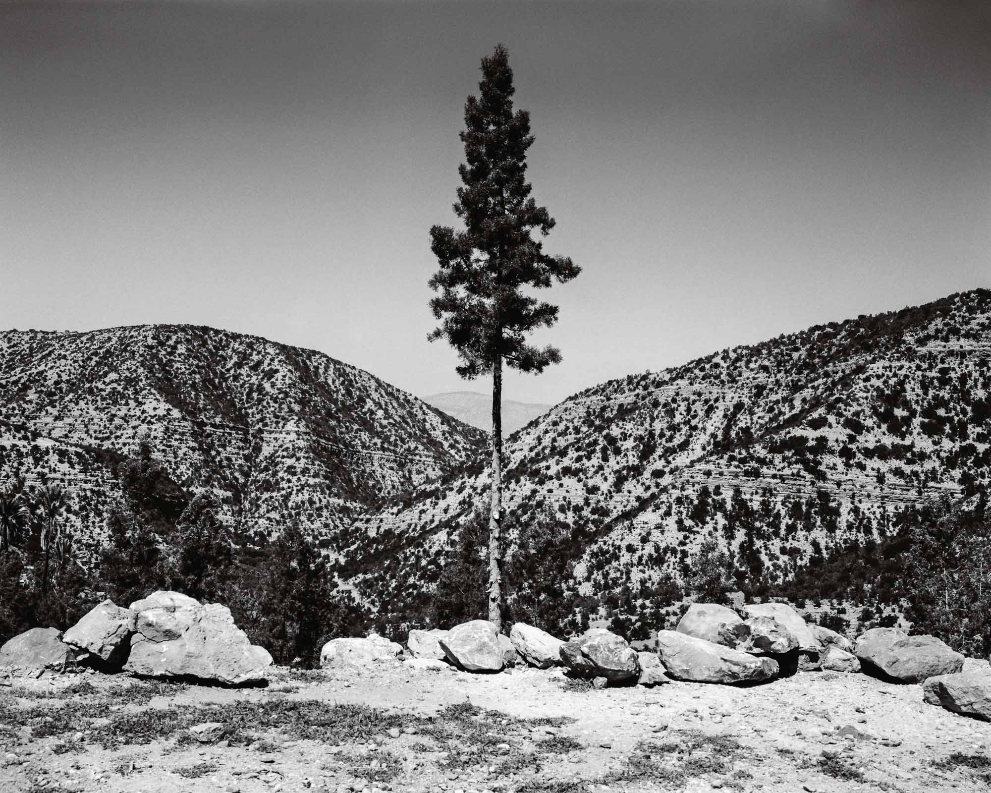 Agra Ofla, spring 2003