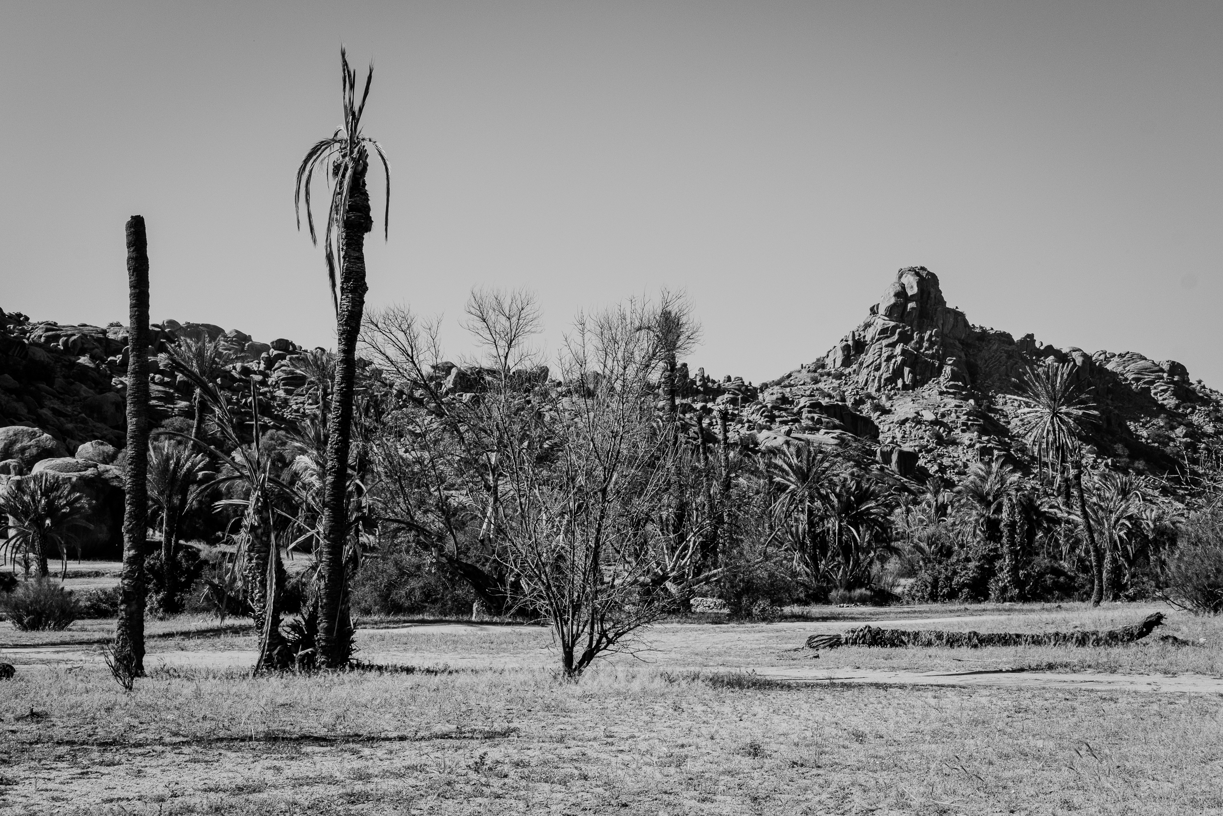 Anti-Atlas, Tafraoute, lente 2026