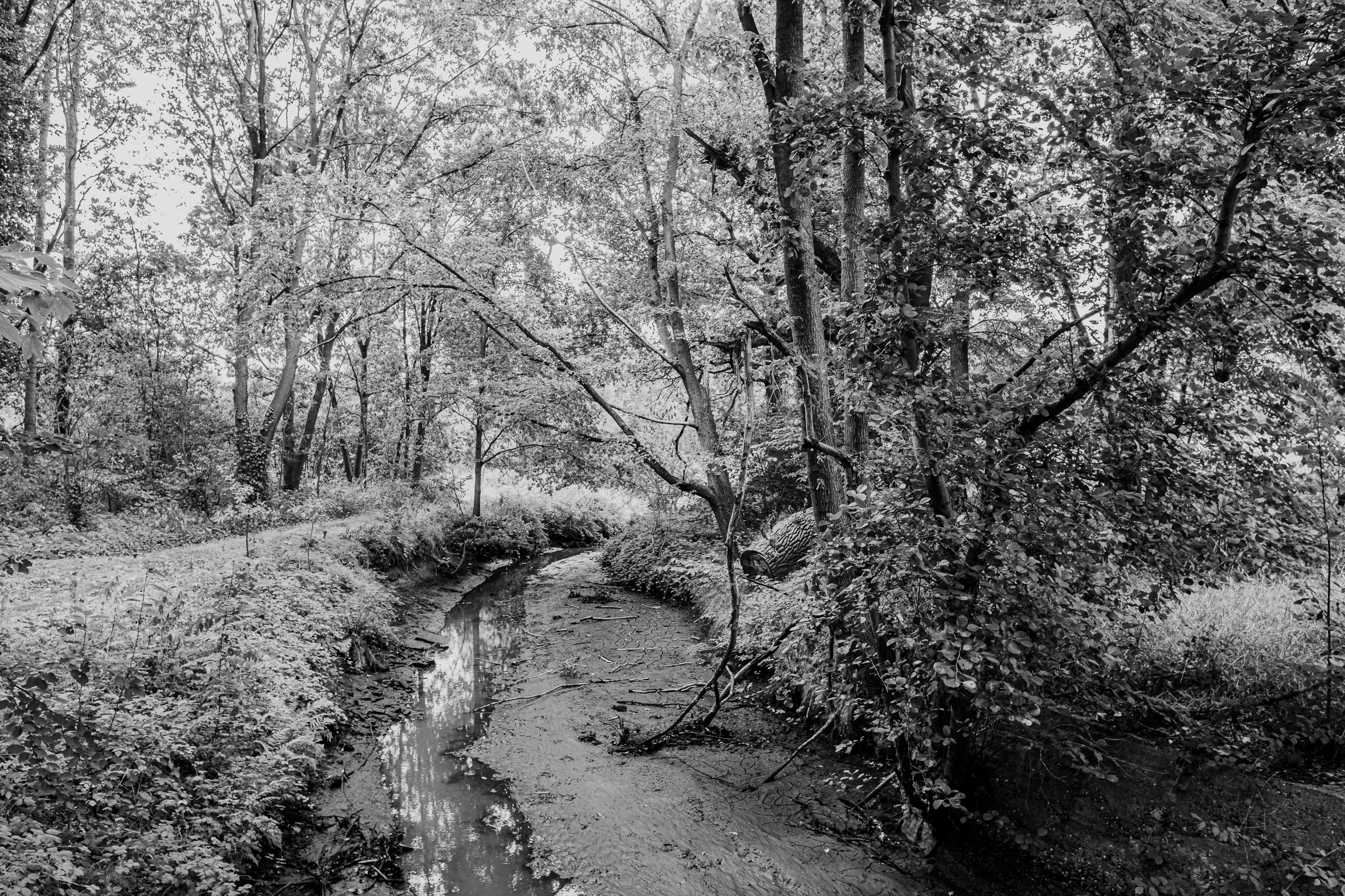 binnen de grenzen van het landschap home2-7630
