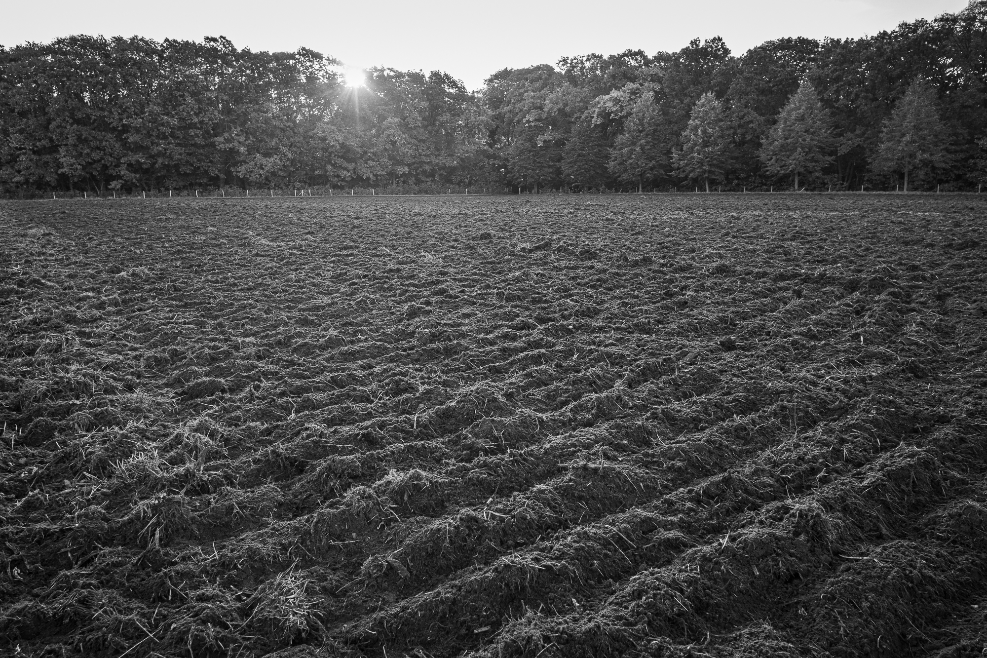 Pieter Coopmans landschapsbeheer Herkenrode-7978 Akker