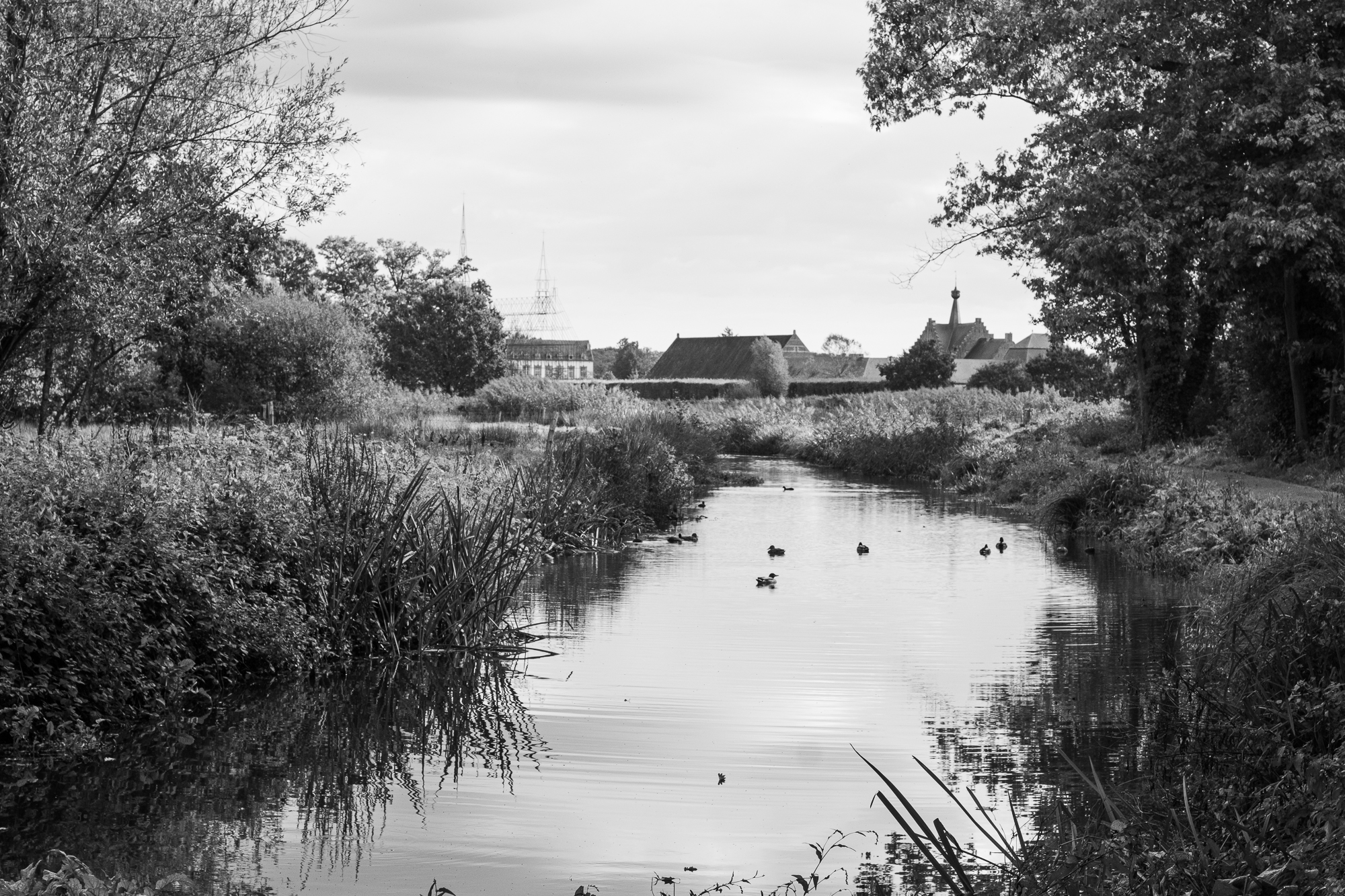 Pieter Coopmans landschapsbeheer Herkenrode-8037 Zicht op de abdij van Herkenrode over de Demer