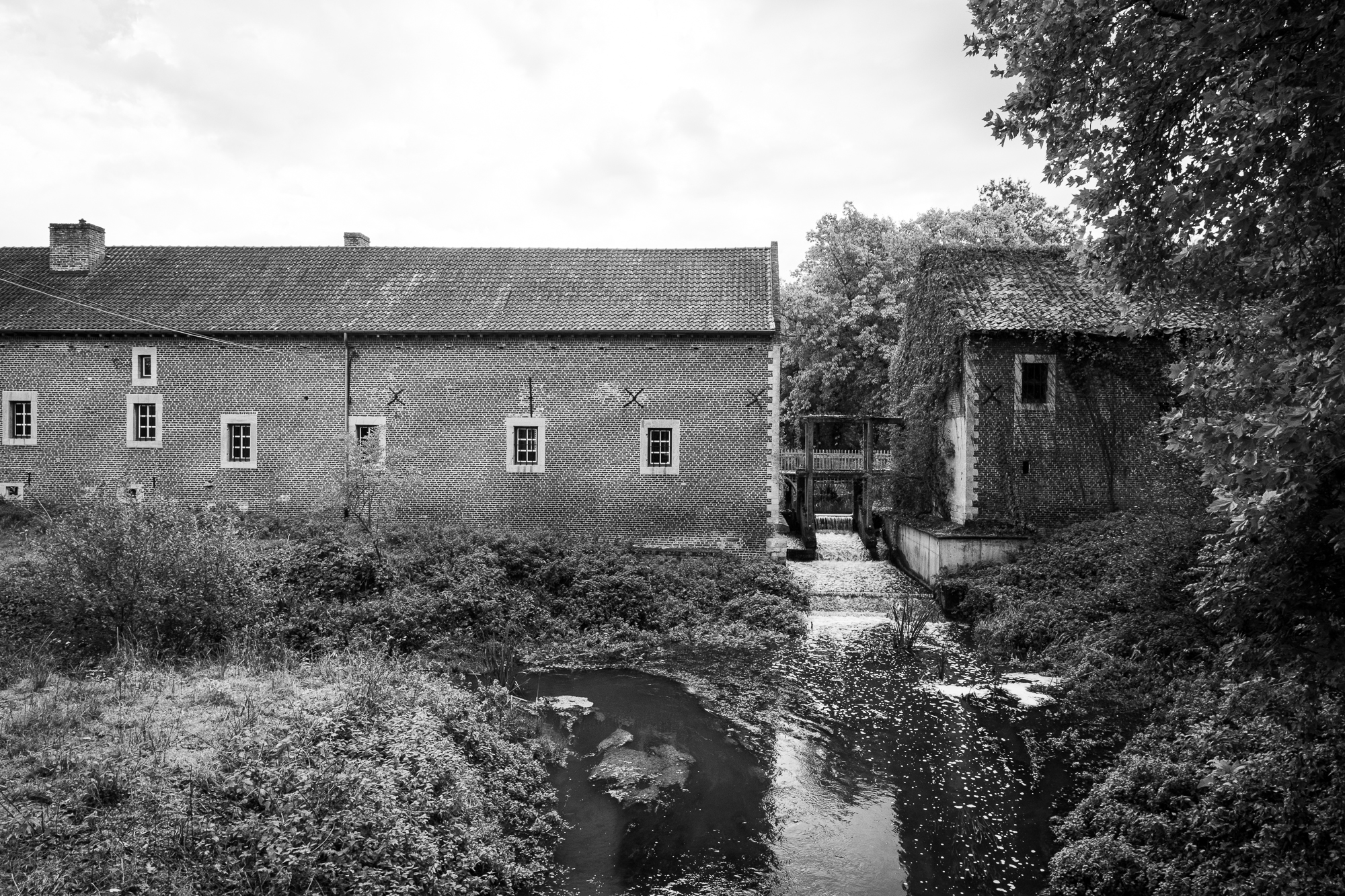 Pieter Coopmans landschapsbeheer Herkenrode-8039 De Tuitermolen